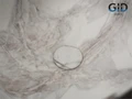 Накладная раковина для ванной под камень Gid Mnc9301 54480