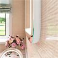 Зеркало Lucia LED 550x800 ЗЛП52