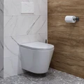 Унитаз подвесной безободковый с быстросъемным сиденьем микролифт Teymi Solli T40201 1184352