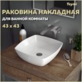 Раковина для ванной накладная Teymi Kati 43 белая T50701 1192905 - фото 91200
