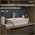 Раковина для ванной накладная Teymi Aina 49 белая T50002 1194775 - фото 91215