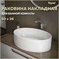 Раковина для ванной накладная Teymi Lori 50 белая T50502 1182173 - фото 91229