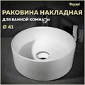 Раковина для ванной круглая накладная Teymi Lina D41 белая T50105 1201674 - фото 91244