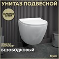 Унитаз подвесной безободковый с быстросъемным сиденьем микролифт Teymi Lina Pro T40106 1206309 - фото 91288