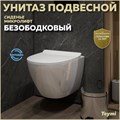 Унитаз подвесной торнадо безободковый с быстросъемным сиденьем микролифт Teymi Lina Pro Vortex T40112 1220077 - фото 91315