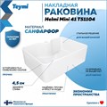 Раковина для ванной накладная Teymi Helmi Mini 41 белая T51104 1216485