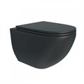 Унитаз подвесной безободковый с быстросъемным сиденьем микролифт Teymi Lina S Black черный матовый T40111 1209570