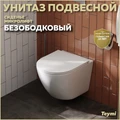 Унитаз подвесной безободковый с быстросъемным сиденьем микролифт Teymi Lina S T40102 1192908