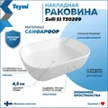 Раковина для ванной накладная Teymi Solli 51 artceramic белая T50209 1204726