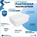 Раковина для ванной накладная Teymi Helmi Mini 40 белая T51103 1216484