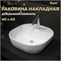 Раковина для ванной накладная Teymi Solli 40 белая T50207 1204633 - фото 91637