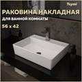 Раковина для ванной накладная Teymi Aina 56 белая T50005 1204631 - фото 91690