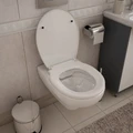 Унитаз подвесной безободковый с сиденьем микролифт Teymi Hanna Pro T40901 1204463