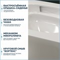 Унитаз подвесной торнадо безободковый с быстросъемным сиденьем микролифт Teymi Martta Vortex T42101 1221043