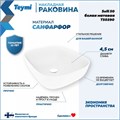 Раковина для ванной накладная Teymi Solli 50 artceramic цвет белый матовый T50390 1209642