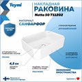 Раковина для ванной накладная Teymi Netta 50 белая T51202 1223551