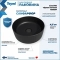 Раковина для ванной круглая накладная Teymi Lina D41 цвет черный матовый T50197 1209630