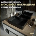 Раковина для ванной накладная Teymi Helmi S 48 цвет черный матовый T50297 1209639