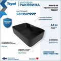 Раковина для ванной накладная Teymi Helmi S 48 цвет черный матовый T50297 1209639