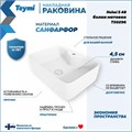 Раковина для ванной накладная Teymi Helmi S 48 цвет белый матовый T50296 1209638