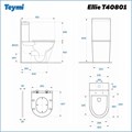 Унитаз напольный безободковый с быстросъемным сиденьем микролифт Teymi Ellie T40801 1204407