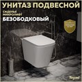 Унитаз подвесной безободковый с быстросъемным сиденьем микролифт Teymi Helmi S T40302 1192910 - фото 92345