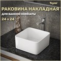 Раковина для ванной накладная Teymi Helmi Mini 24 artceramic белая T50303 1182168 - фото 92375