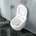 Унитаз подвесной безободковый с быстросъемным сиденьем микролифт Teymi Iva T40601 1192909