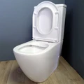 Унитаз напольный безободковый с быстросъемным сиденьем микролифт Teymi Lina T40103 1200613