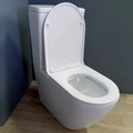 Унитаз напольный безободковый с быстросъемным сиденьем микролифт Teymi Lina T40103 1200613