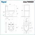 Унитаз напольный безободковый с быстросъемным сиденьем микролифт Teymi Lina T40103 1200613