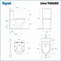 Унитаз напольный безободковый с быстросъемным сиденьем микролифт Teymi Lina T40103 1200613