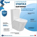 Унитаз напольный безободковый с быстросъемным сиденьем микролифт Teymi Solli T40203 1200614