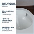 Унитаз подвесной торнадо безободковый с быстросъемным сиденьем микролифт Teymi Lina Vortex T40110 1204729