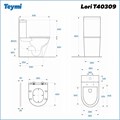 Унитаз напольный безободковый с быстросъемным сиденьем микролифт Teymi Lori T40309 1215678