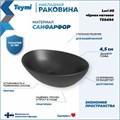 Раковина для ванной накладная Teymi Lori 40 цвет черный матовый T50494 1209654