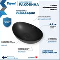 Раковина для ванной накладная Teymi Lori 60 цвет черный матовый T50497 1209657