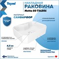 Раковина для ванной накладная Teymi Netta 50 белая T51201 1223550