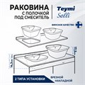 Раковина для ванной накладная и врезная с полочкой под смеситель Teymi Solli 43 artceramic белая T50205 1202056