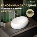 Раковина для ванной накладная Teymi Laina 48 белая T51301 1223552 - фото 92832