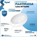Раковина для ванной накладная Teymi Laina 48 белая T51301 1223552