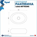 Раковина для ванной накладная Teymi Laina 48 белая T51301 1223552