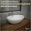 Раковина для ванной накладная Teymi Lori 40 цвет белый матовый T50492 1209652