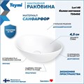 Раковина для ванной накладная Teymi Lori 40 цвет белый матовый T50492 1209652