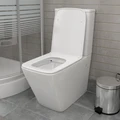 Унитаз напольный безободковый с быстросъемным сиденьем микролифт Teymi Helmi T40308 1205645