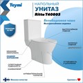Унитаз напольный безободковый с быстросъемным сиденьем микролифт Teymi Ritta T40803 1204648
