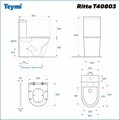 Унитаз напольный безободковый с быстросъемным сиденьем микролифт Teymi Ritta T40803 1204648