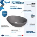 Раковина для ванной накладная Teymi Lori 40 цвет графит матовый T50493 1209653