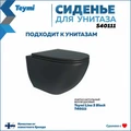 Сиденье для унитаза Teymi S40111 (совместимо T40111) быстросъемное дюропласт микролифт чёрное матовое 1209571