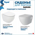 Сиденье для унитаза Teymi S40105 (совместимо T40105; T40804) быстросъемное дюропласт микролифт 1220105